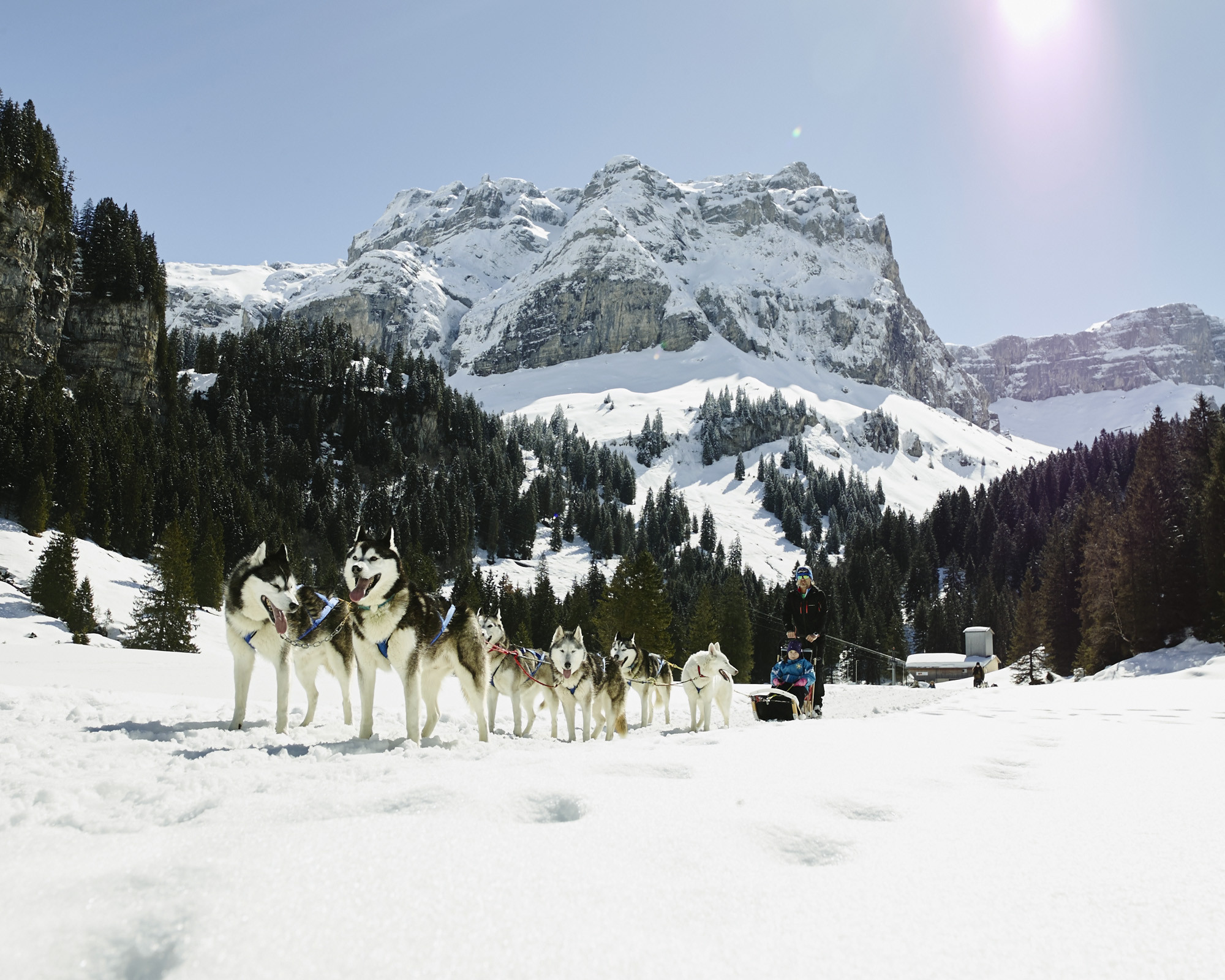 Beat Heinzer, Hundeschlittenfahrer