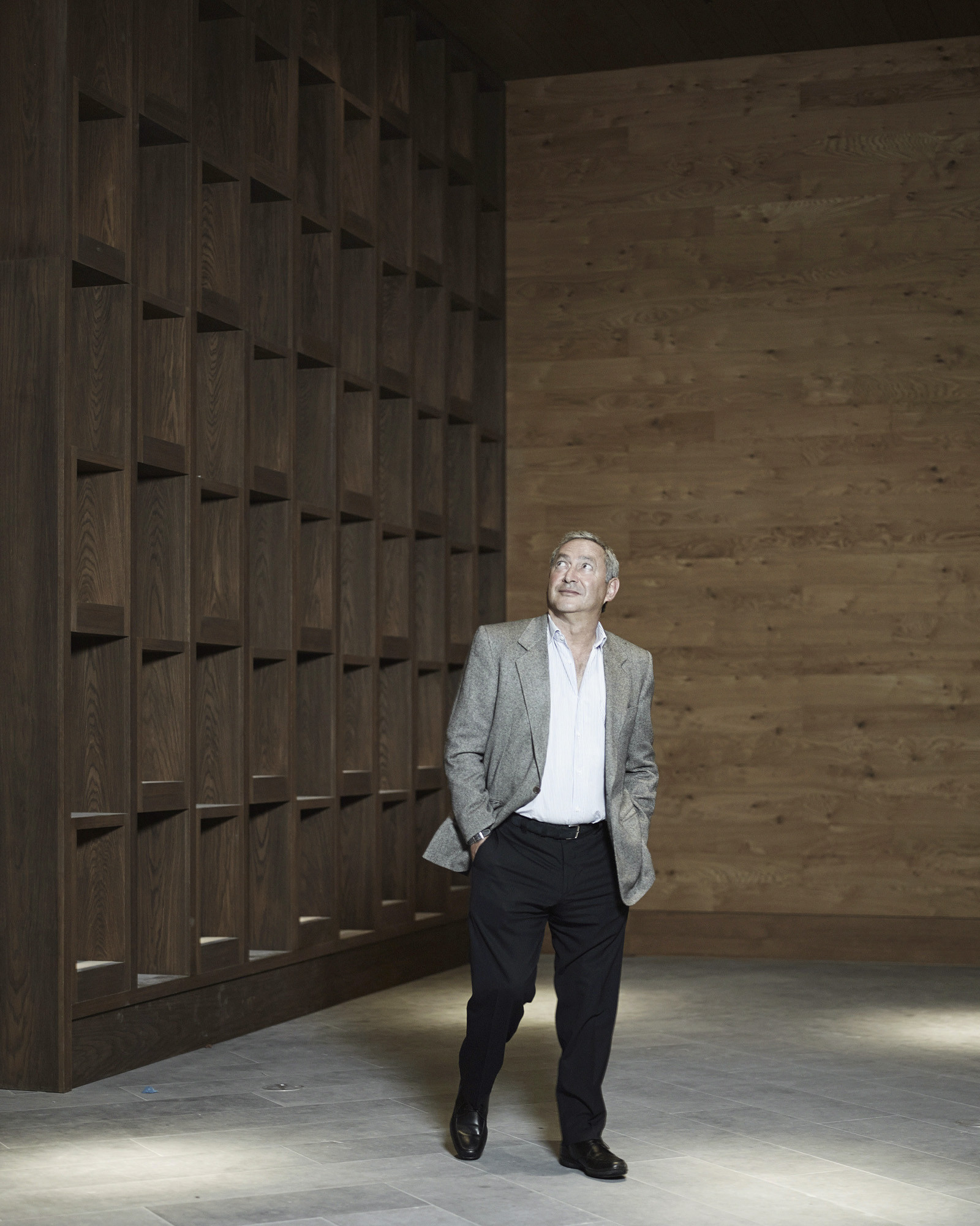 Samih Sawiris, Investor