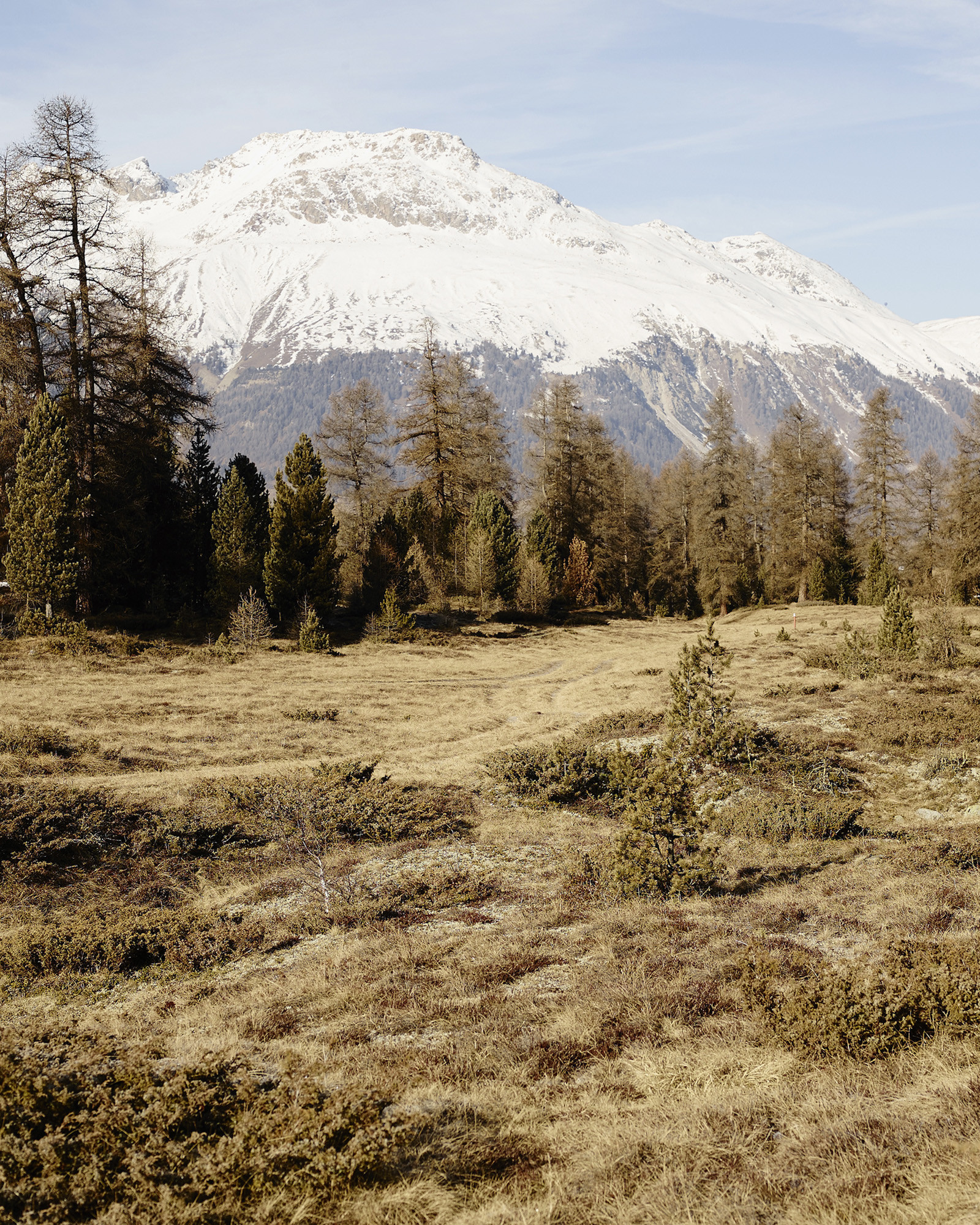 Pontresina im Engadin, Serie für das Via Magazin der SBB