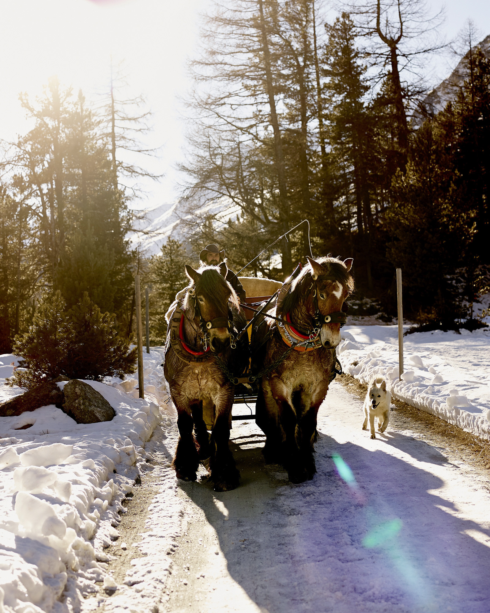 Pontresina im Engadin, Serie für das Via Magazin der SBB