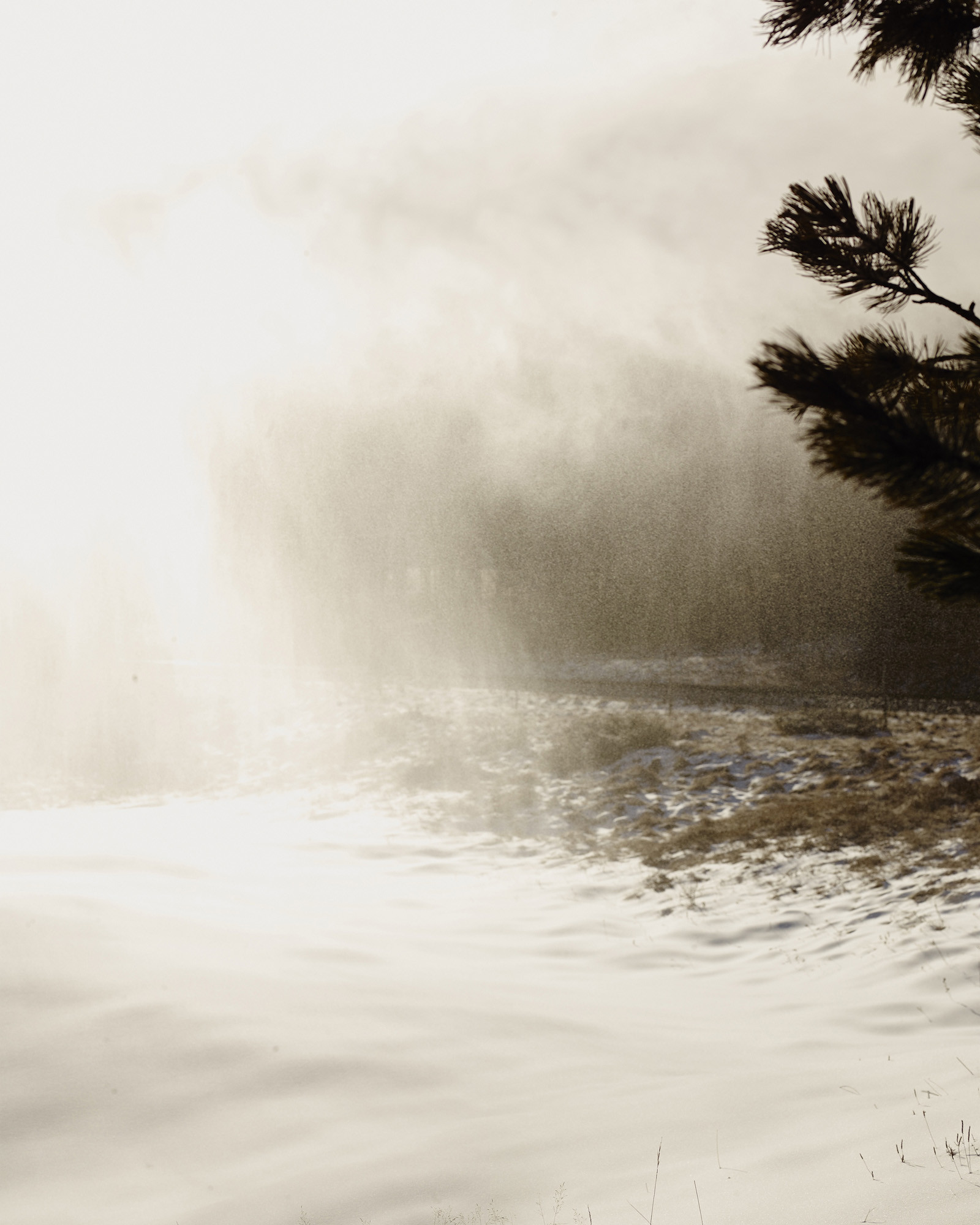 Pontresina im Engadin, Serie für das Via Magazin der SBB