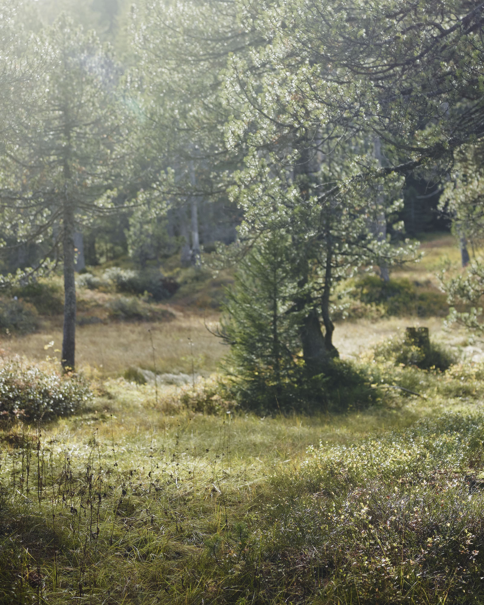 CKW Centralschweizerische Kraftwerke, Geschäftsbericht 2013