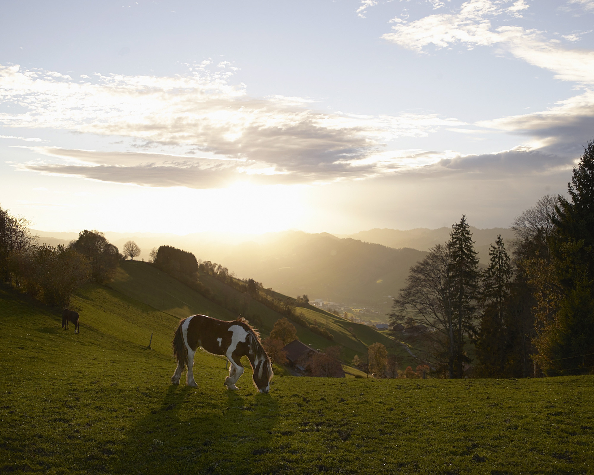 CKW Centralschweizerische Kraftwerke, Geschäftsbericht 2013