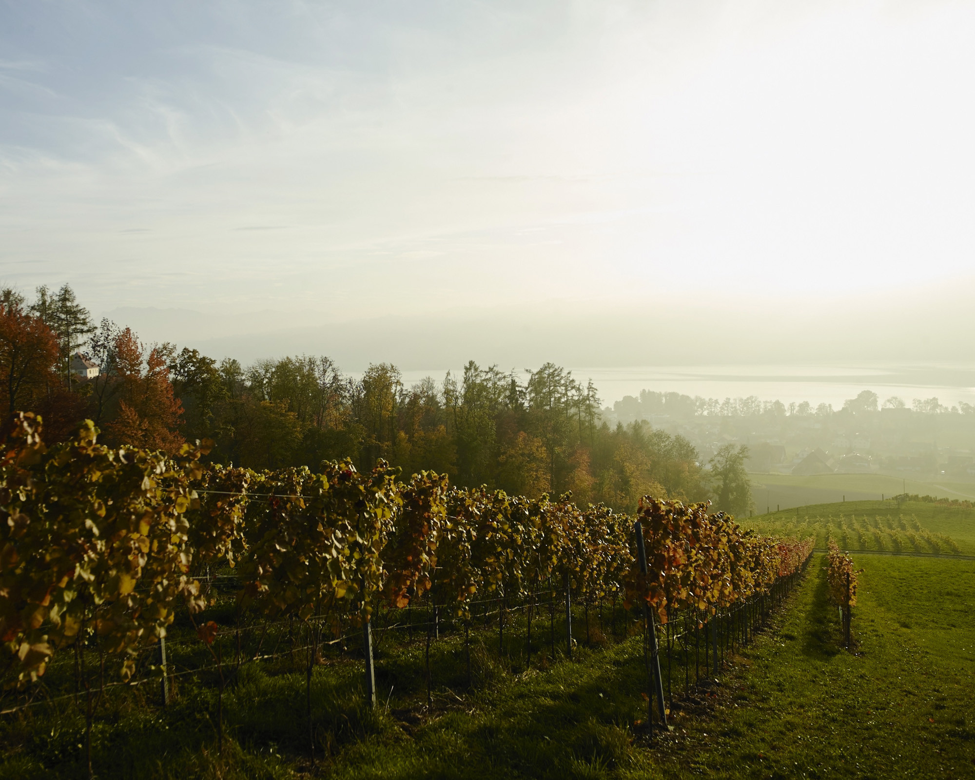 CKW Centralschweizerische Kraftwerke, Geschäftsbericht 2015