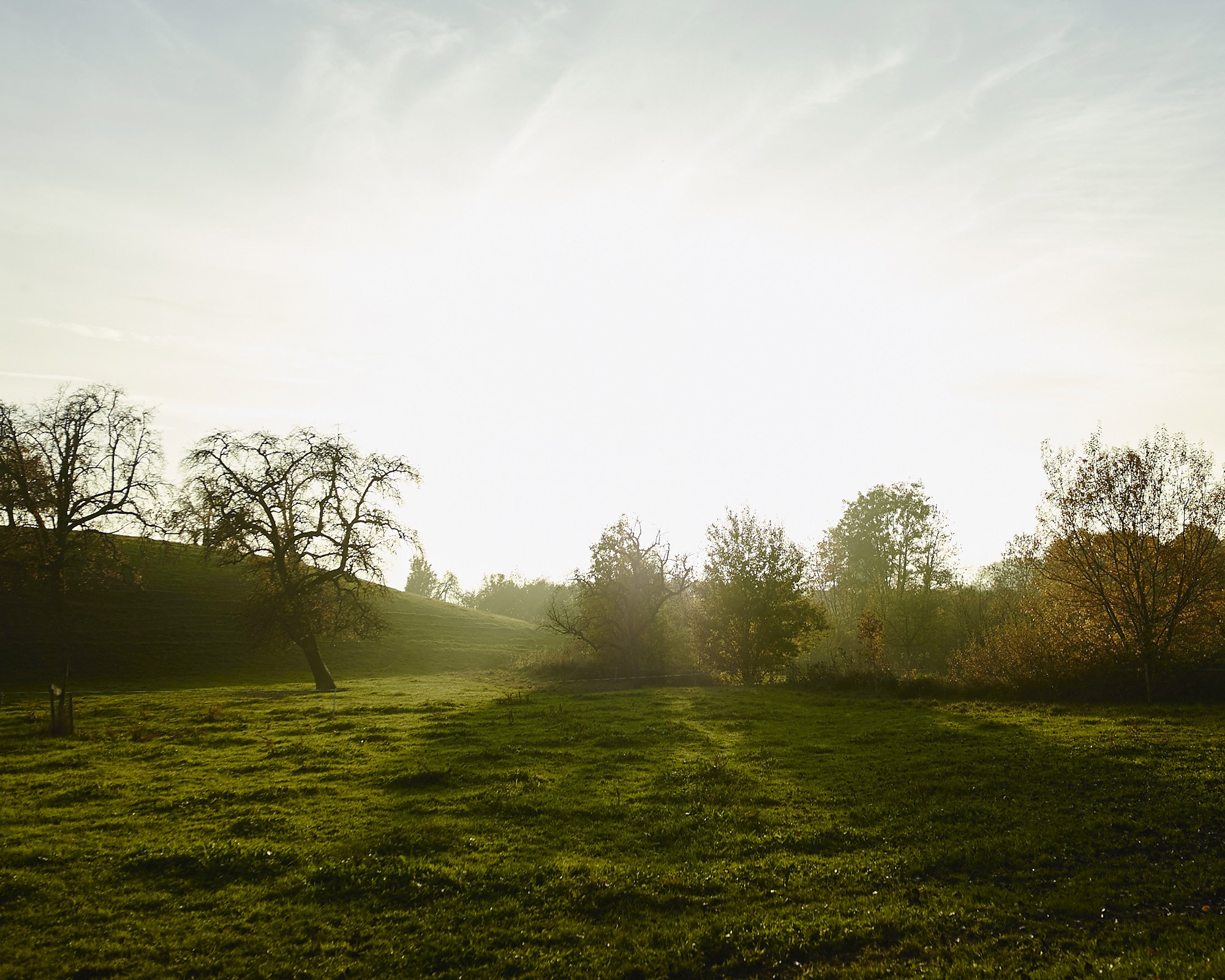 CKW Centralschweizerische Kraftwerke, Geschäftsbericht 2015