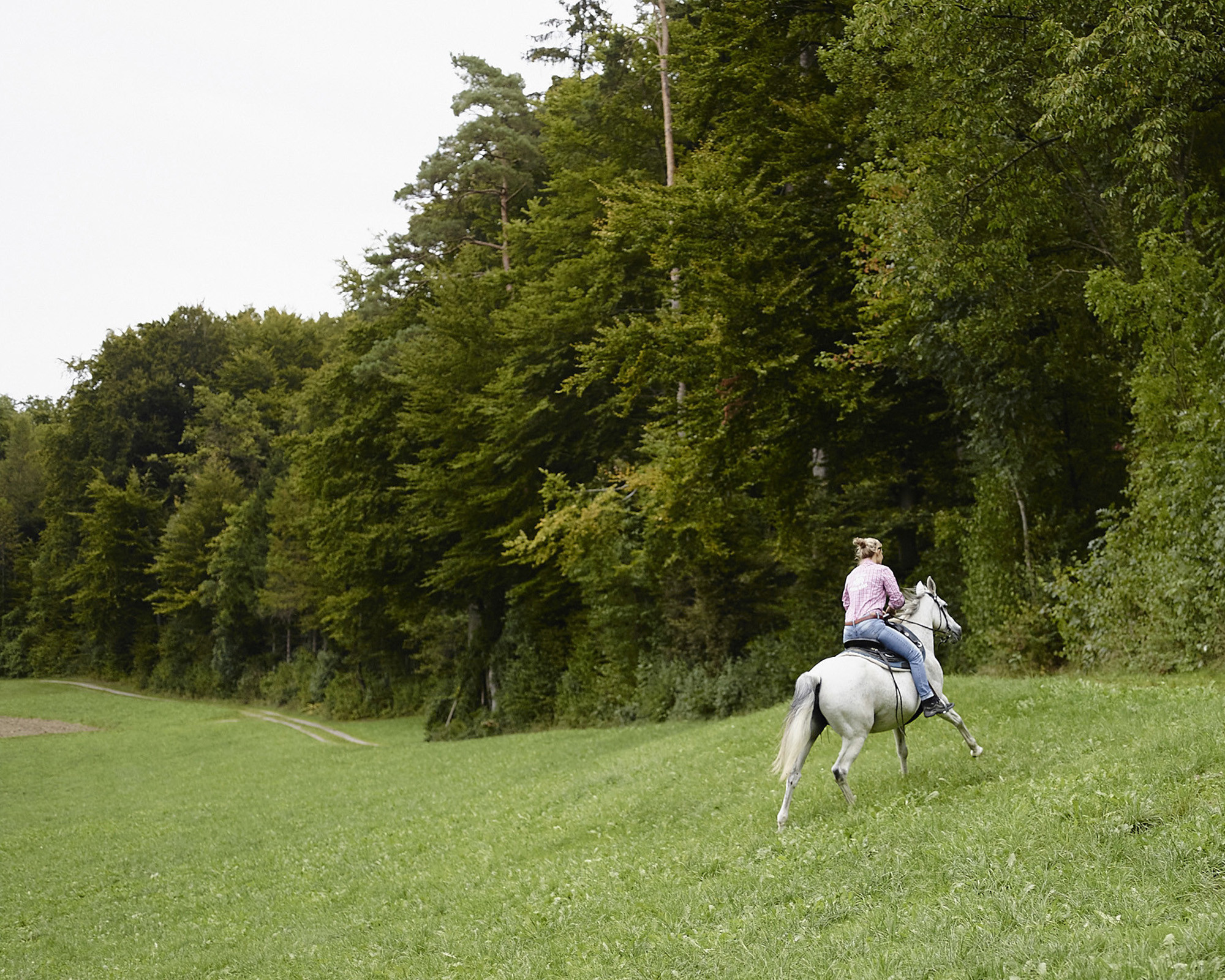 EY Schweiz, Nachhaltigkeitsbericht 2015