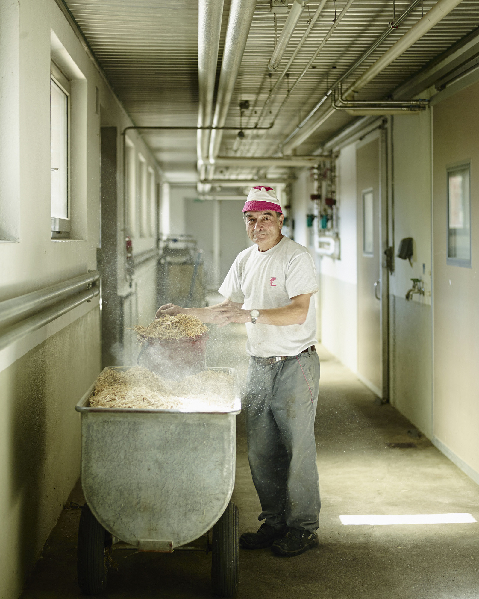 Suisag, Dienstleistungs- und Kompetenzzentrum der Schweizer Schweinebranche