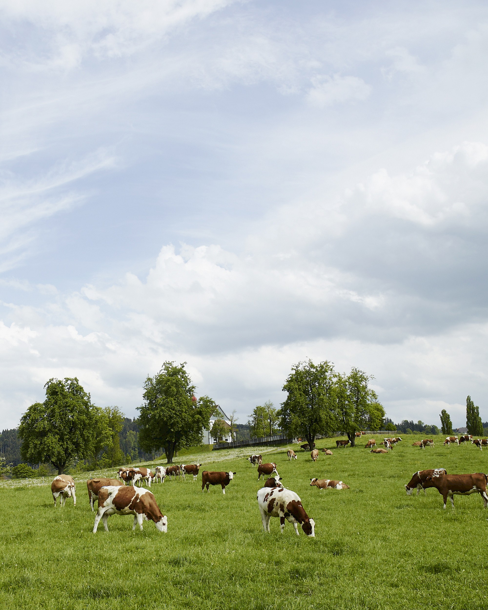 Luzern und Umgebung für das Merian Reisemagazin