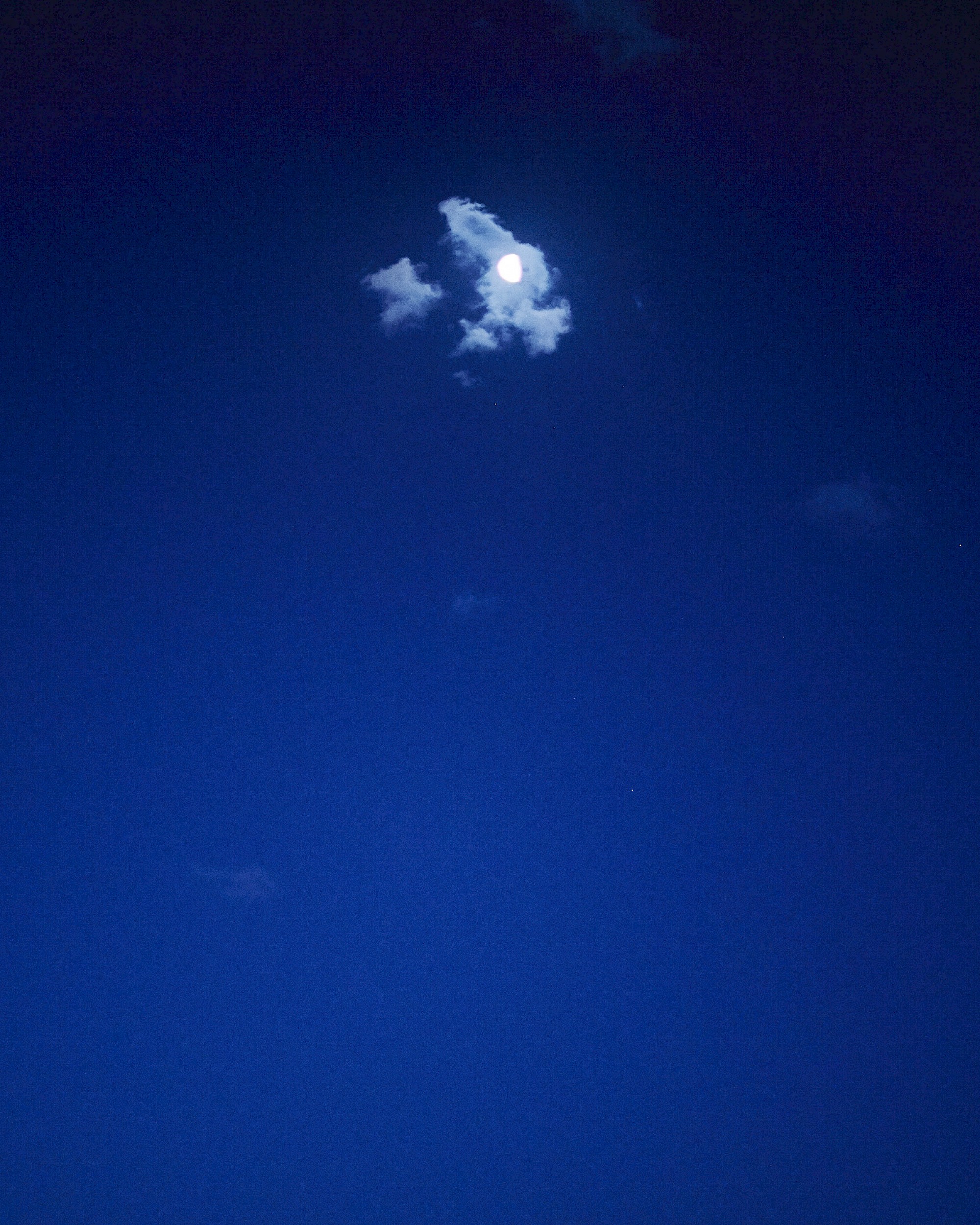 Blaue Ankunft in Palma, Freie Arbeit