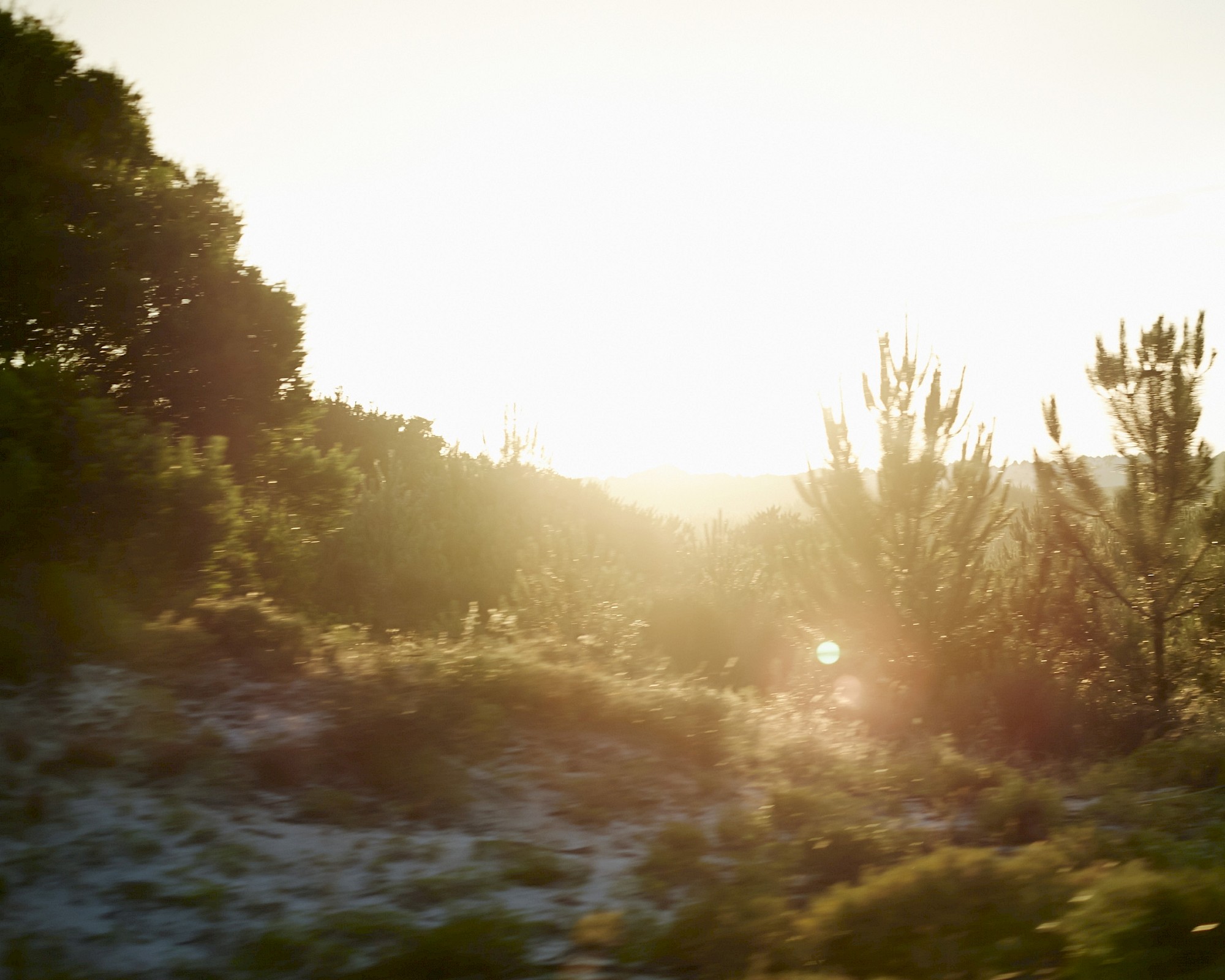 Portugal, Freie Arbeit