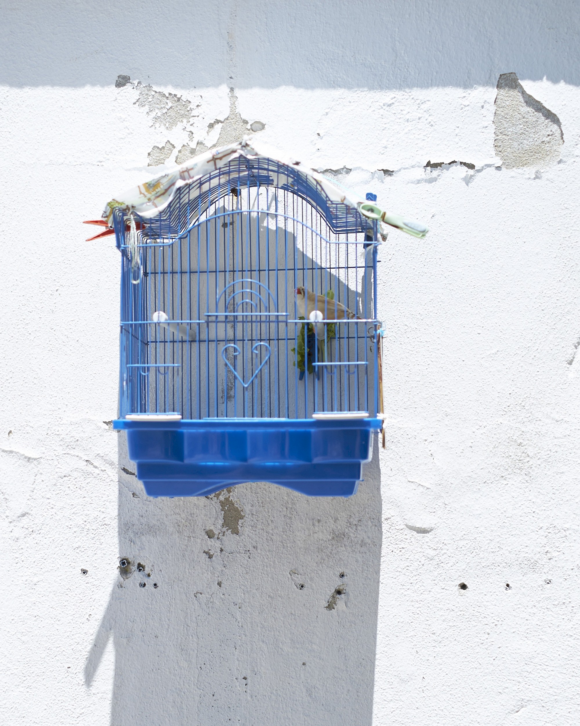 Portugal, Freie Arbeit