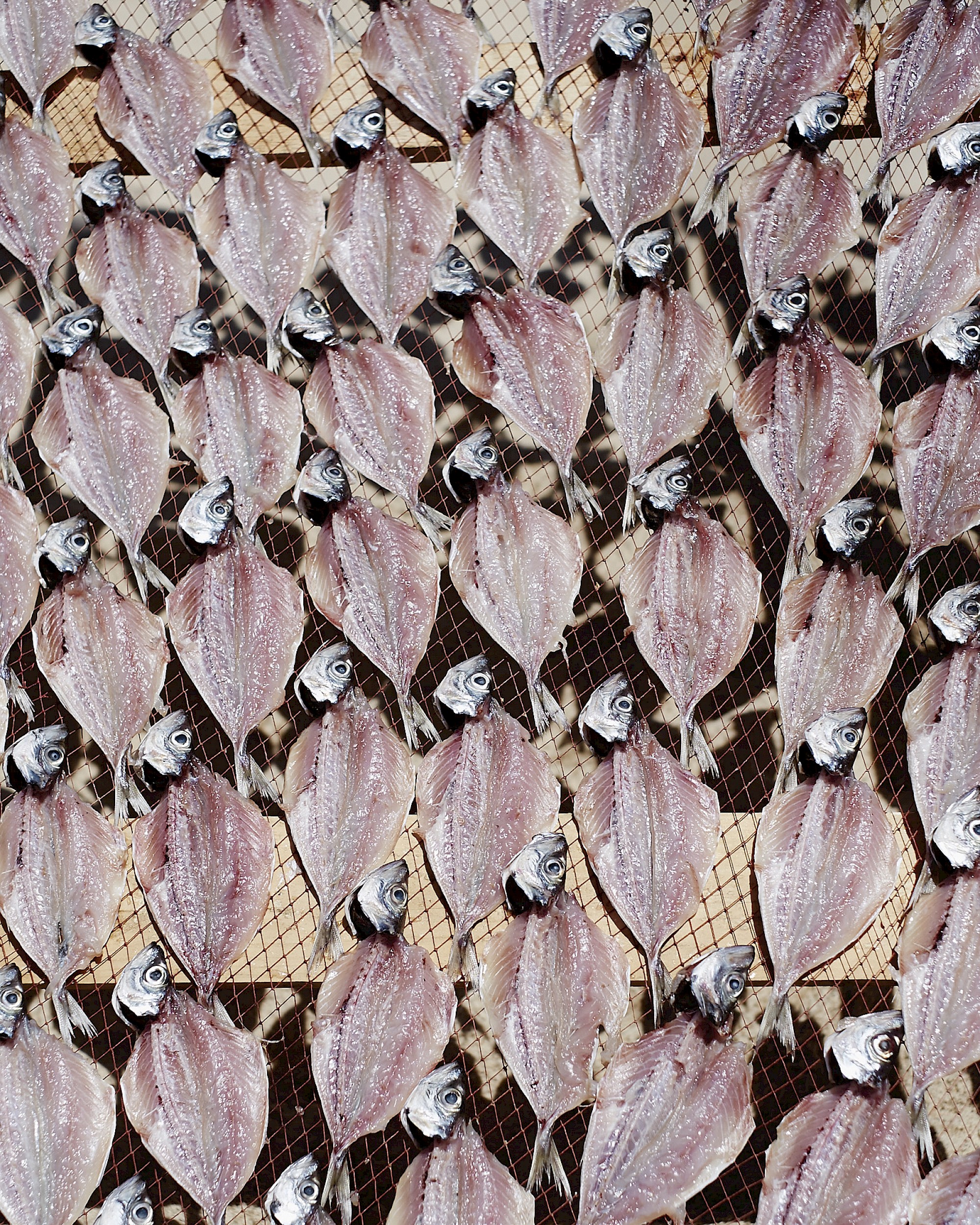 Portugal, Freie Arbeit