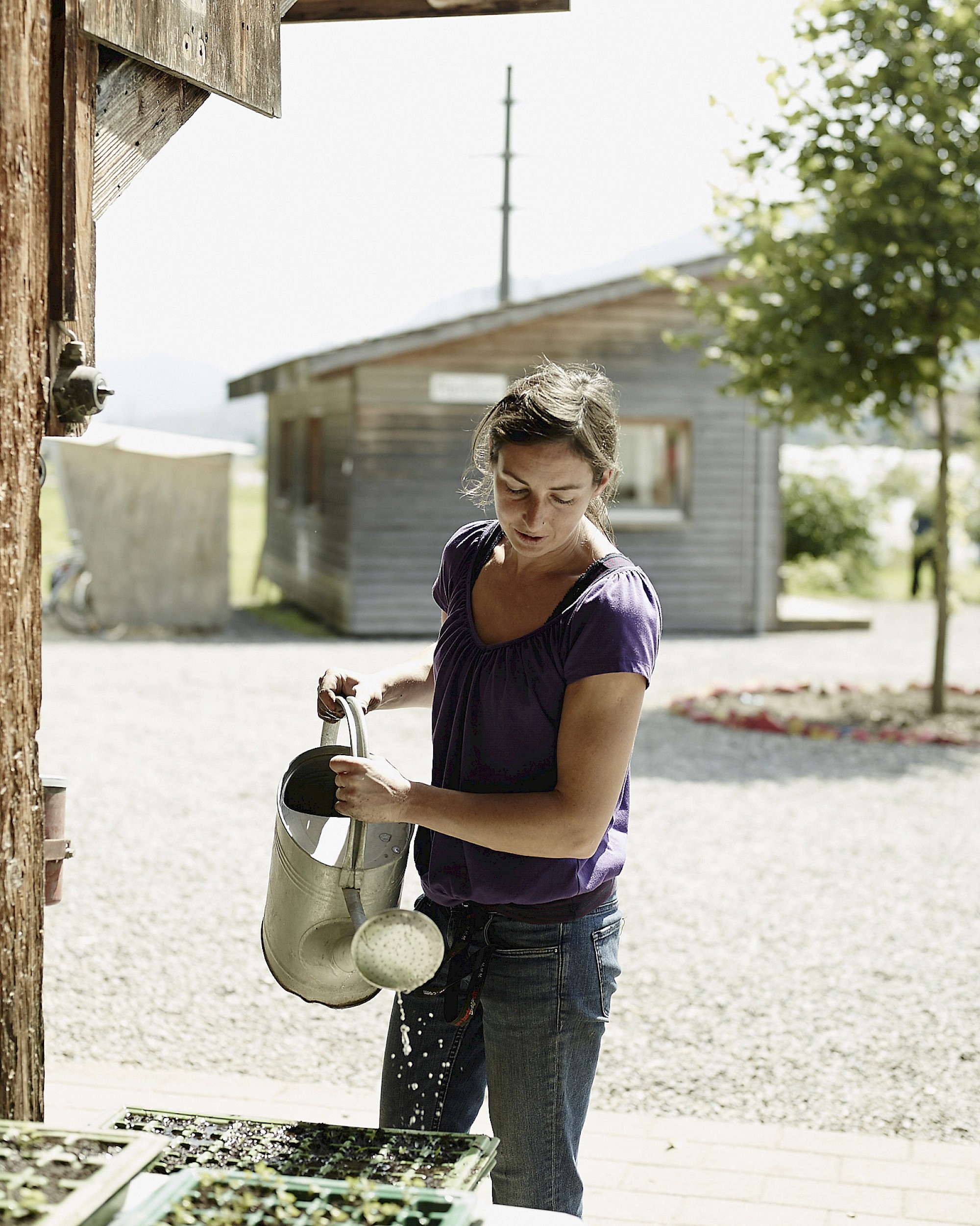 Akzent Prävention und Suchttherapie, Imagebilder